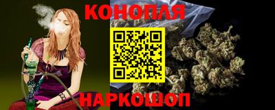 прущие грибы Краснодар