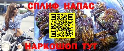 ECSTASY Конаково