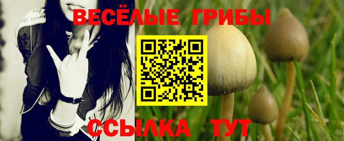 Галлюциногенные грибы MAGIC MUSHROOMS Крымск