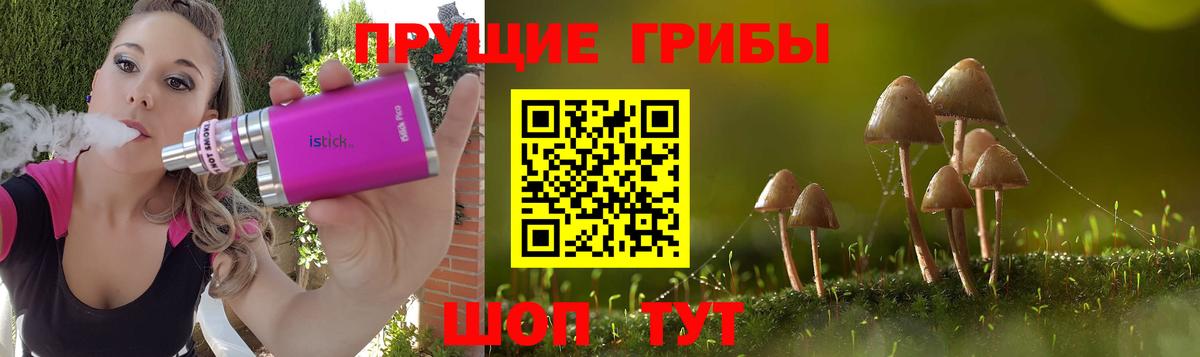 Галлюциногенные грибы Cubensis  Вход с VPN  Крымск 